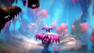 问道装备顶级属性怎么选