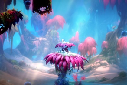 圣灵守护者装备去哪打