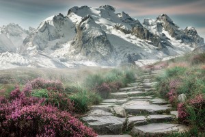 幽灵行动荒野解锁武器