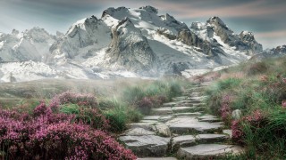 幽灵行动荒野解锁武器