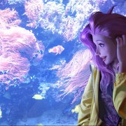 方舟颜色装备等级怎么提升