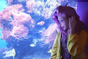 时光套可以升级成什么